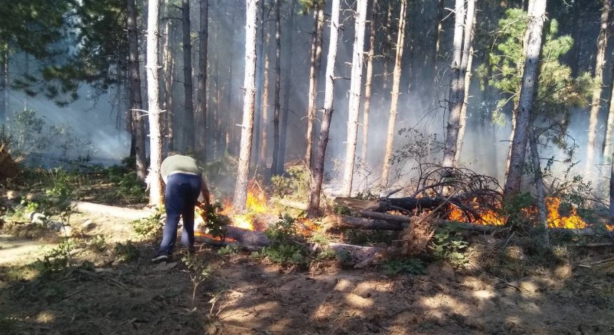 Потушен е пожарът край Свиленградско, 7 км е периметърът, изпепелени са 2400 дка 