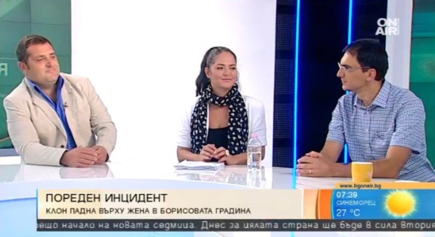 Клони падат по граждани: Небрежност или непредвидимост... Кой носи отговорност?