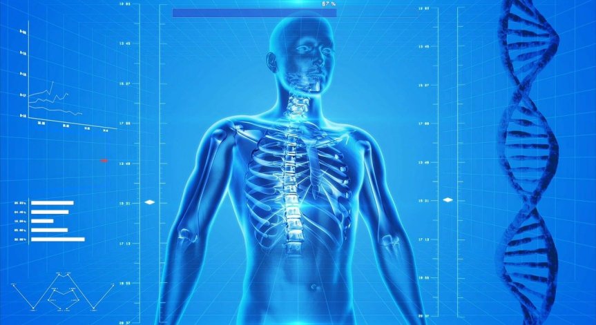 Могат ли чревни бактерии да ни защитят от радиация?