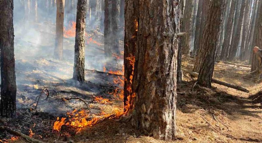 Продължава гасенето на големия горски пожар над Югово
