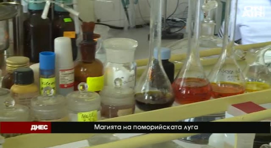 Тайните и лечебните свойства на поморийската луга