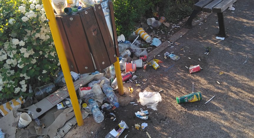 От HelpBook: Обичайната свинщина на спирката на Окръжна в София