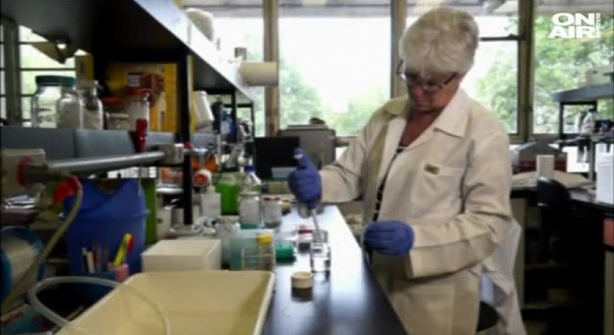 Русия спря вноса на пилешко месо от България