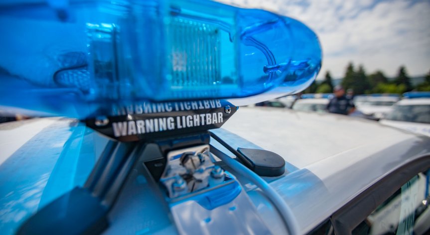 76-годишен мъж се изгуби в гората, издирват го със следово куче