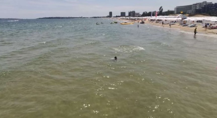 Екоминистърът: Плувах цял час в Черно море, жив съм, водата е чиста