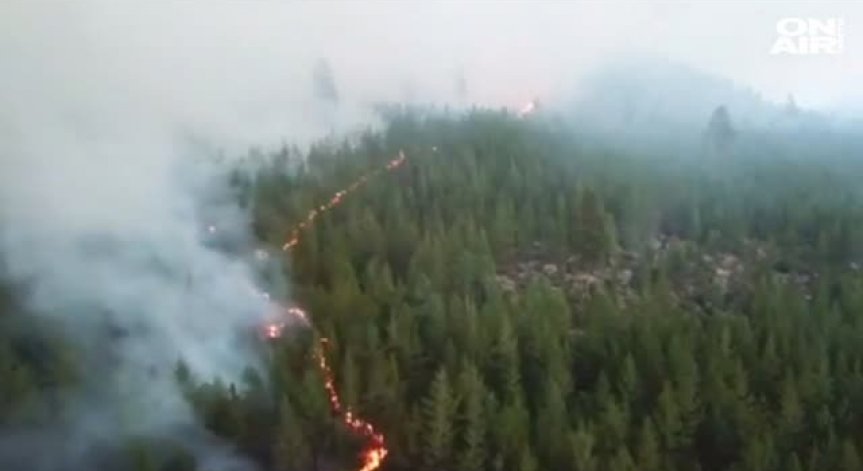 Рекордни жеги в Швеция причиниха горски пожари