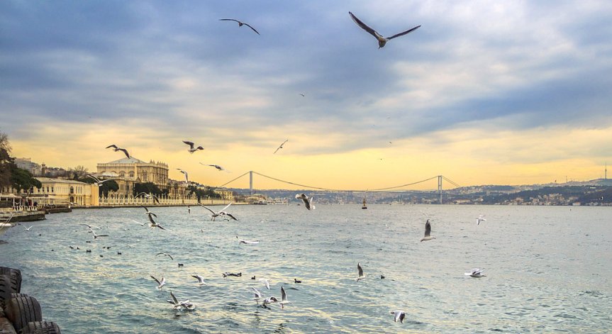 Газпром определи маршрута на газопровода през Турция