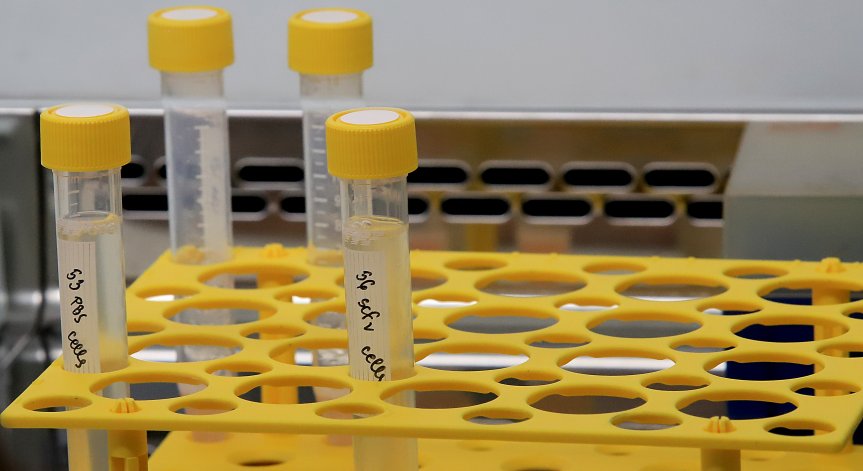 Пет деца от Сливен са с Ковид-19 след лагер на морето