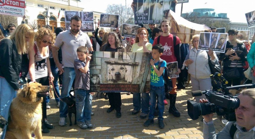Започна шествие срещу насилието на бездомни животни в София