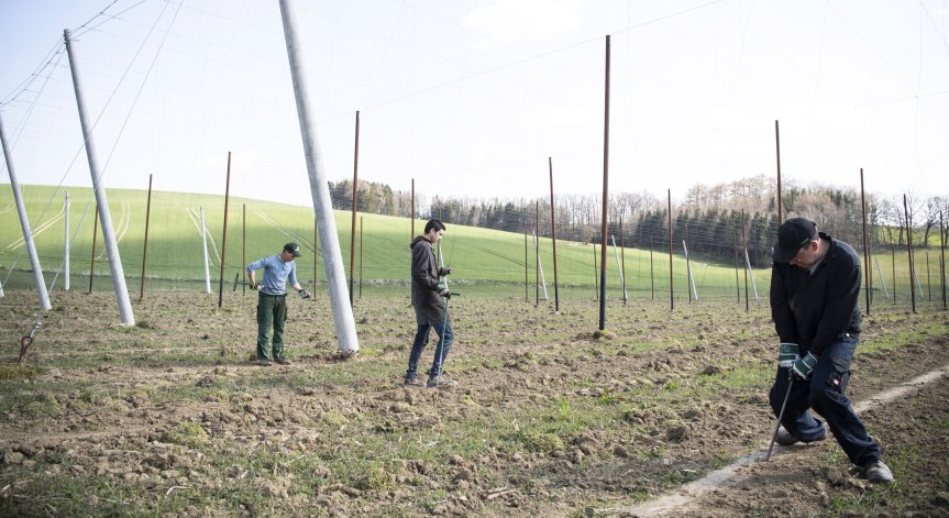 Сезонни работници се бунтуват срещу мизерни условия и ниски заплати