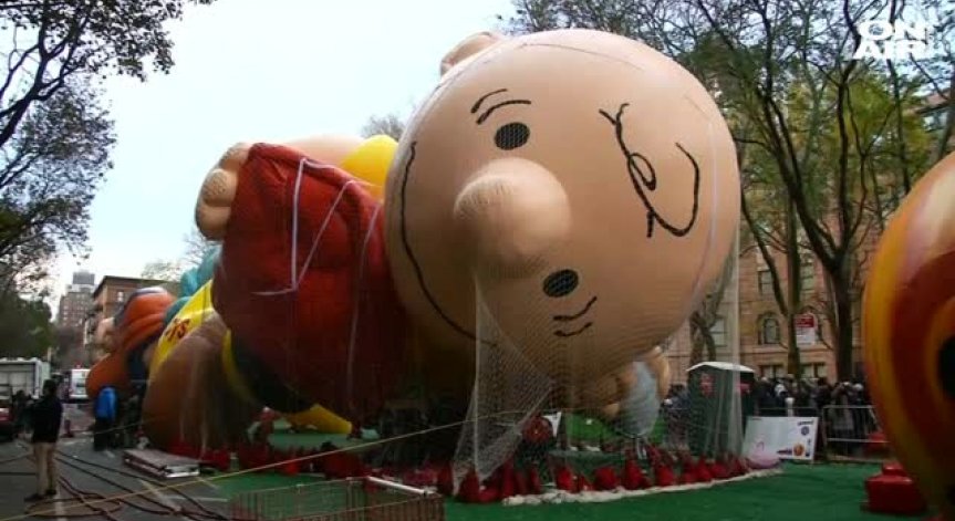 В САЩ ще сготвят 46 милиона пуйки за Деня на благодарността