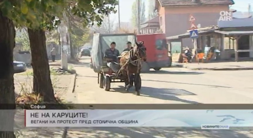 Вегани: Каруците в София да се забранят!