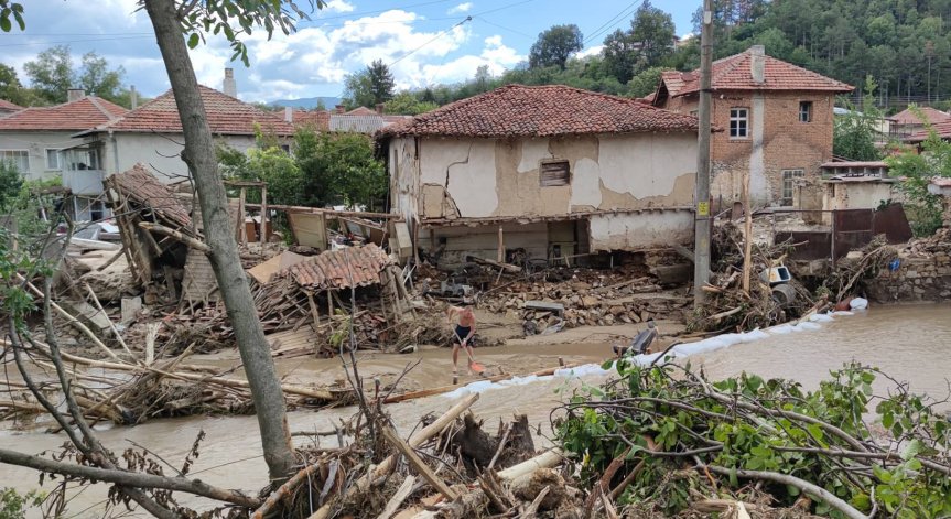 Започват спешни проверки за незаконна сеч в Карловско