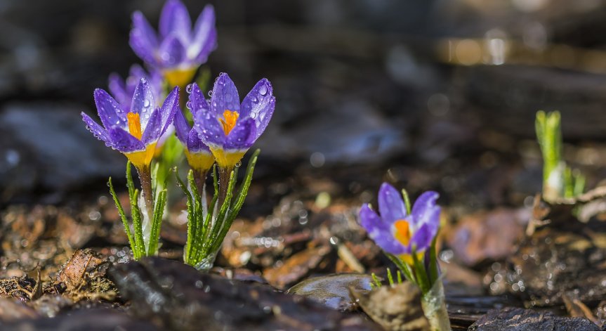 Очаква ни застудяване, температурите ще се понижат