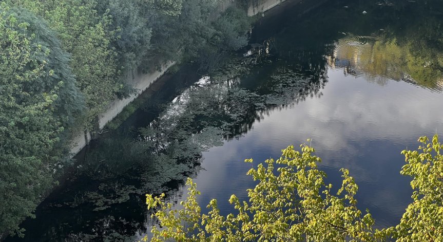 Откриха човешки останки край река Янтра