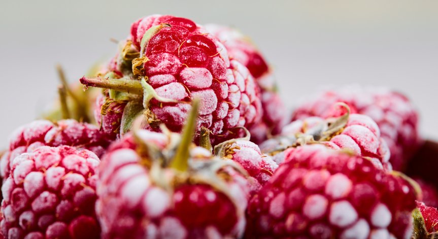 Замразените продукти имат по-дълъг срок на годност.