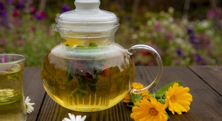 91% от българите са запознати с хомеопатията - кога я прилагат?