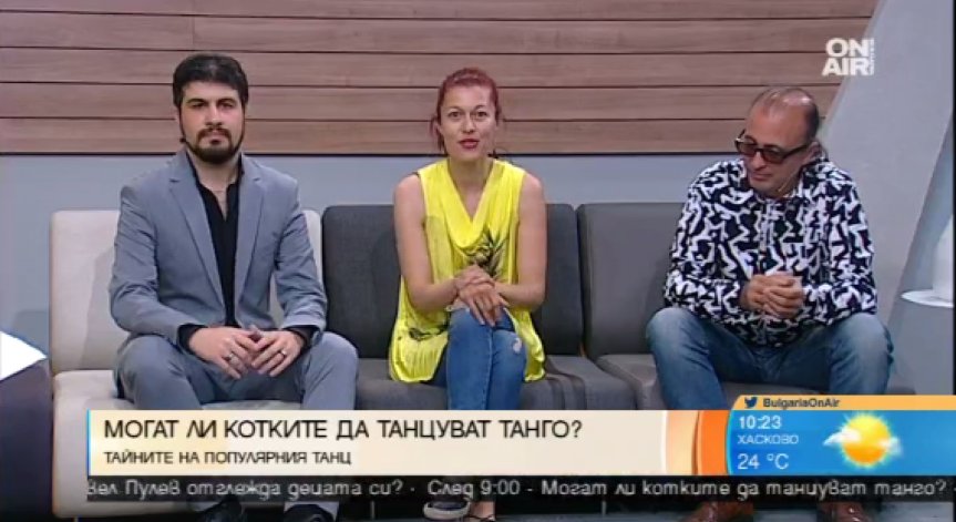 Tango Cats и страстта към тангото