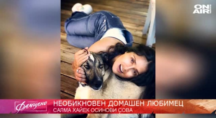 Салма Хайек осинови необикновен домашен любимец... С какво я впечатли една малка сова?