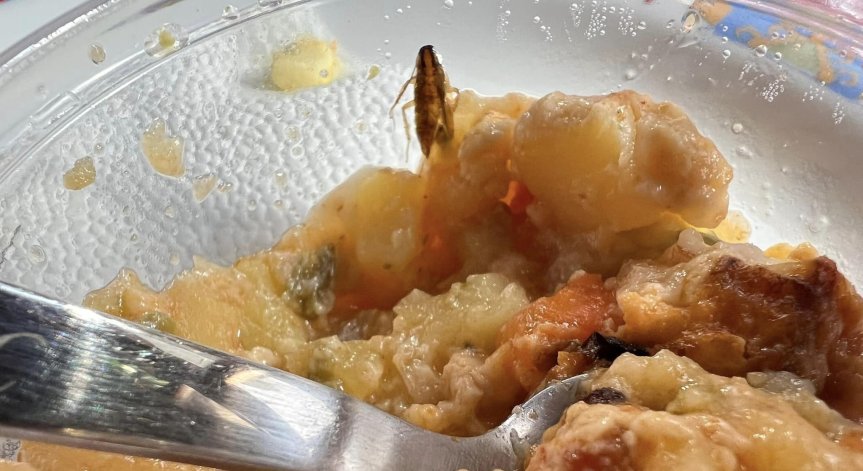 Майка откри хлебарка в храната на детето си, приготвена в държавна Детска кухня