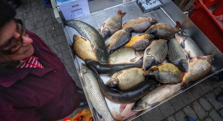 Веднага след България се нарежда Унгария.