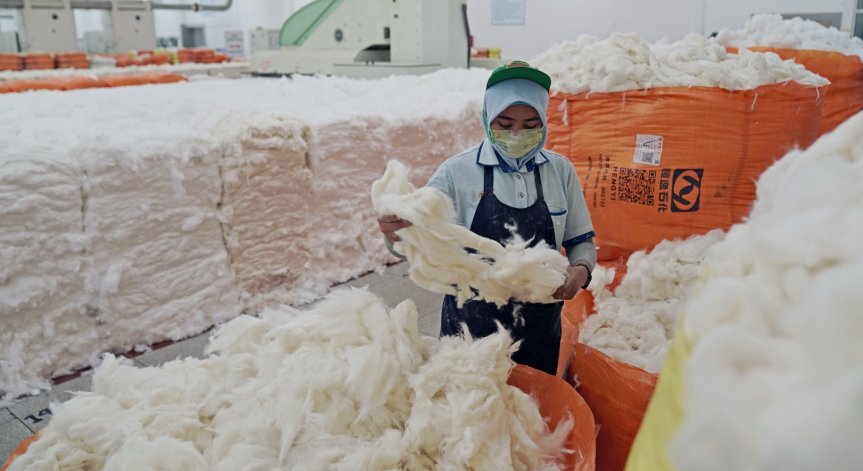 Китай отвърна заради Синдзян: Наложи санкции срещу лица в САЩ и Канада