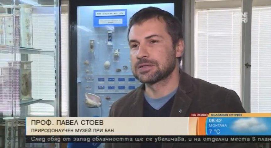 Наш учен откри нов вид животно в туркменистанските пещери