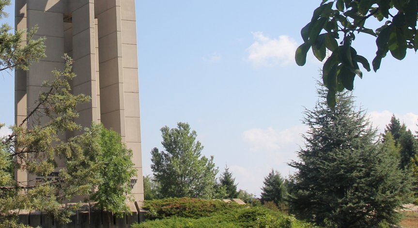 Без кофи за боклук местността Камбаните вече прилича на сметище