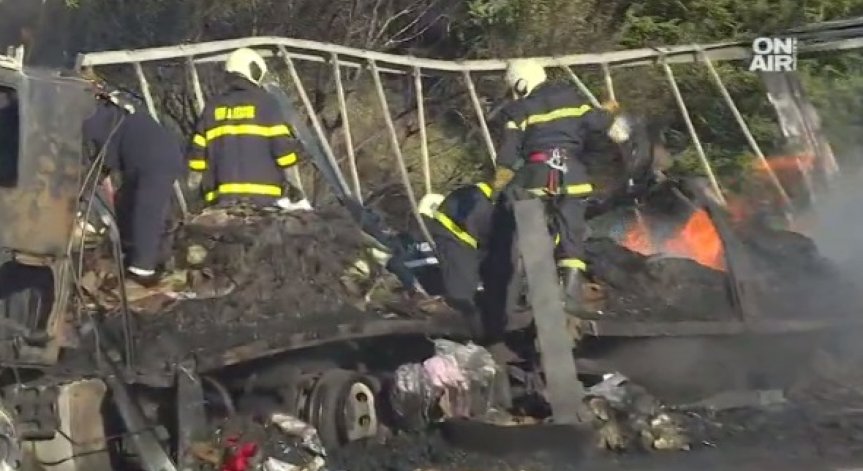 Полски ТИР пламна на АМ 