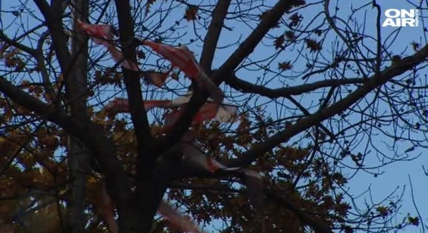 Ураганен вятър остави без електричество 140 000 домакинства в Чехия