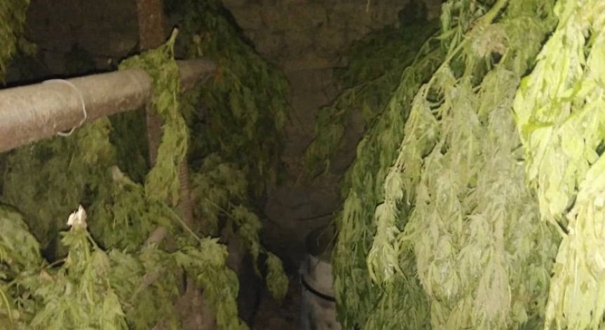 Над 50 килограма марихуана откриха полицаи от Свиленград