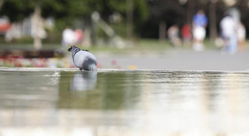 В планините ще бъде предимно слънчево с временни увеличения на облачността.