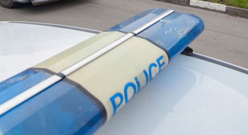 Арестуваха мъж, стрелял с въздушна пушка по куче в Пазарджишко