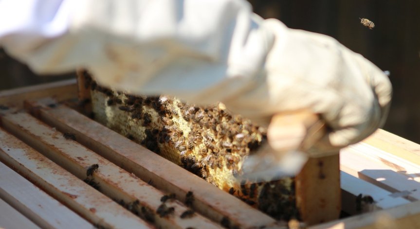 Блокират магистралите за два часа.