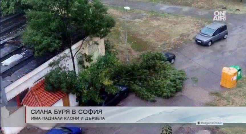 Буря събори дървета и клони в столицата - някои пътища са блокирани
