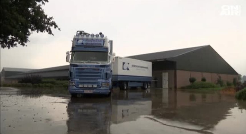 Скандалът с опасните яйца в Белгия и Германия се разраства