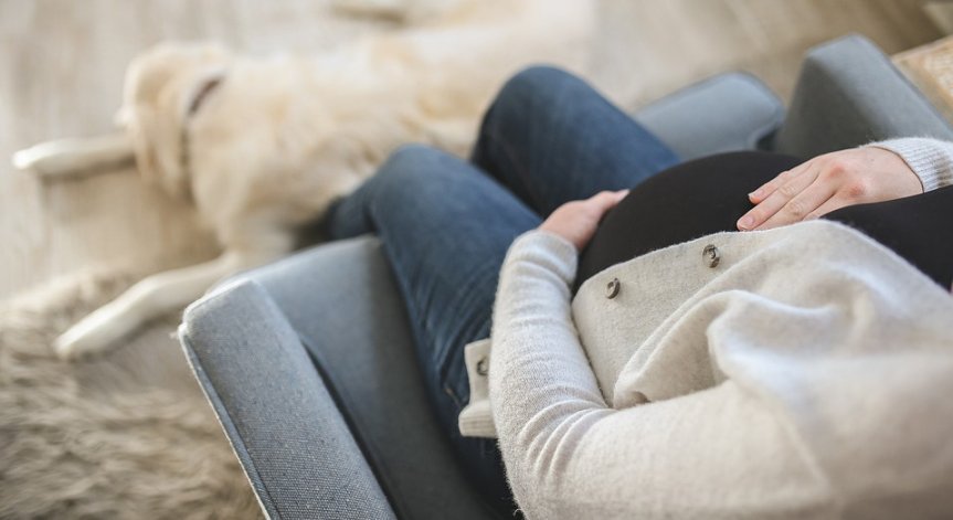  Променят ли звуците развитието на плода по време на бременност?