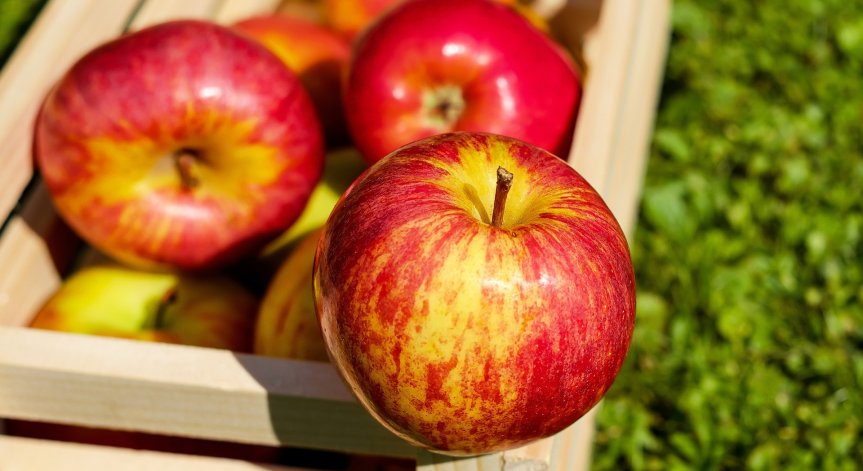 Ябълките са верен помощник за поддържане на красива кожа и блестяща коса