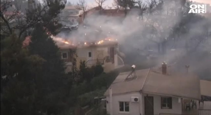 Пожар край Атина изпепели десетки къщи