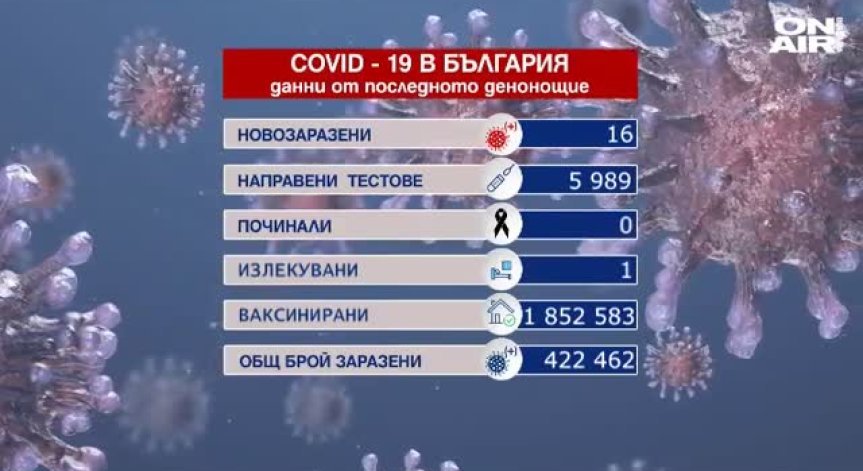 Само 16 заразени и без починали от Ковид-19 в изборния ден