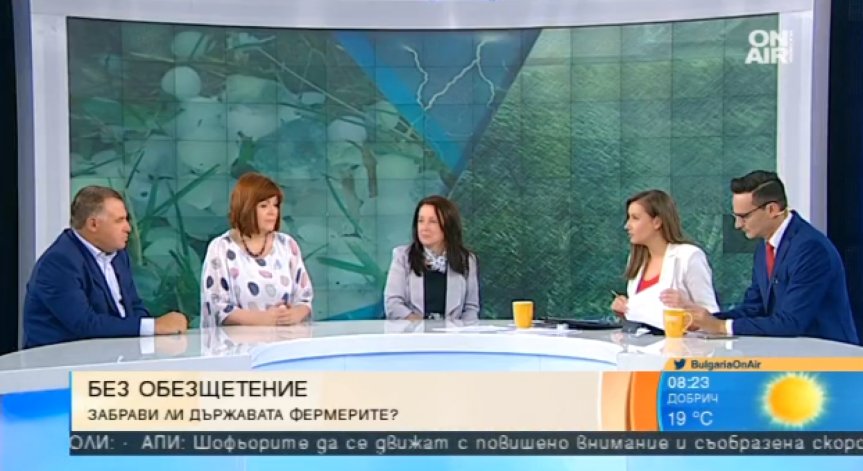 Земеделците с милионни загуби след силната градушка  