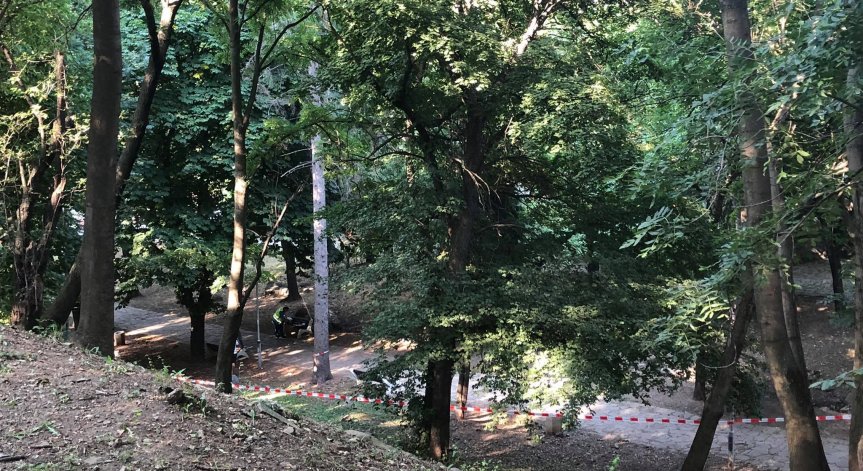 Мъж уби жена с каменна плоча в София