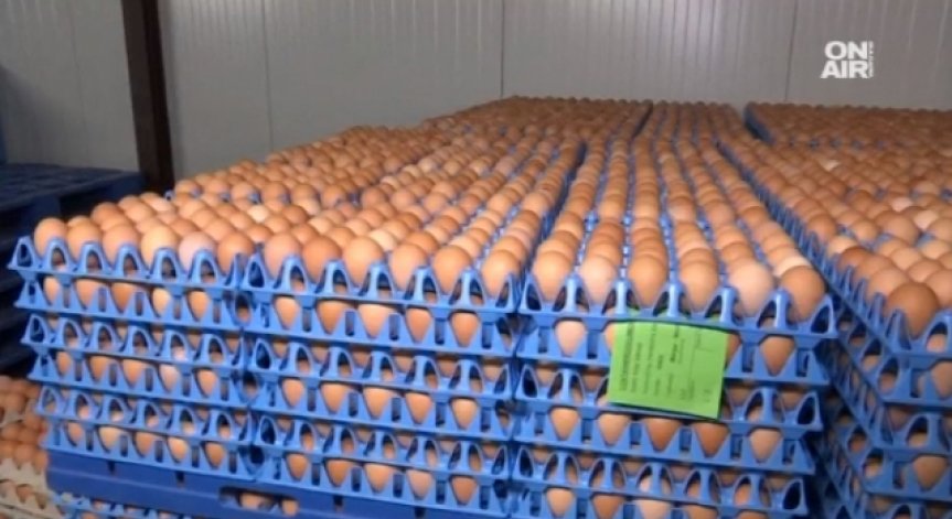 Откриха пратка яйчен меланж с фипронил у нас