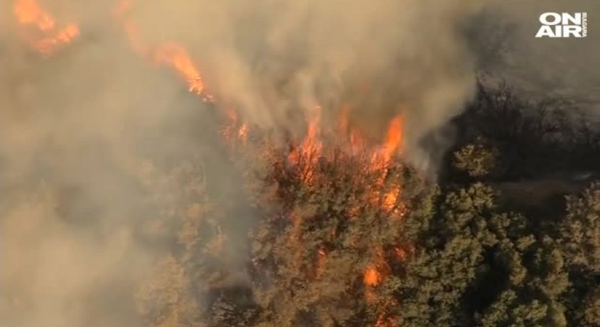 Огненият ад в Калифорния стресна Тръмп, президентът се намесва