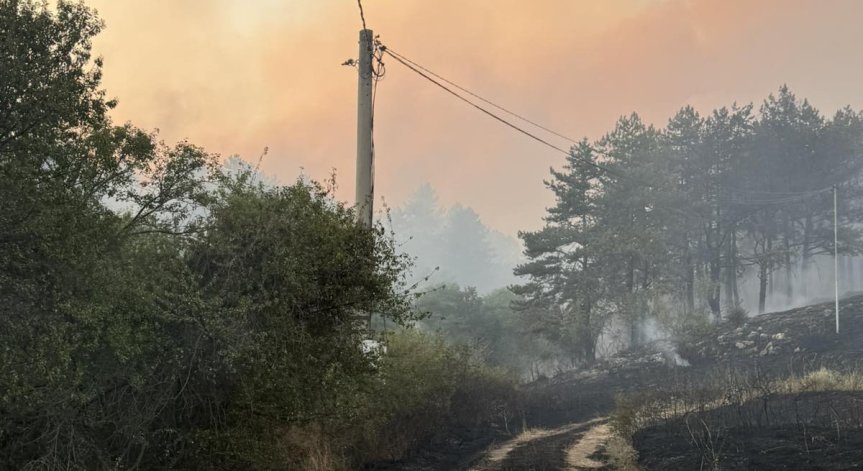Огънят почти е стигнал до село Понор.