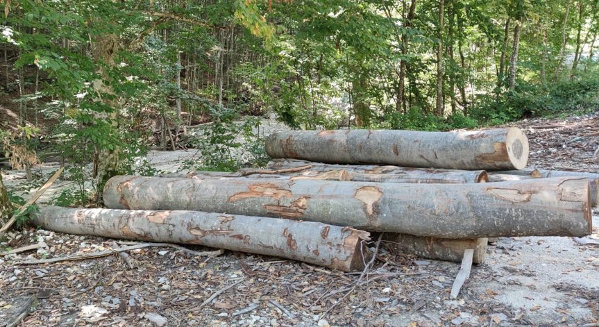 Все по-сериозни са съмненията за нарушения в сечище над Карлово преди потопа