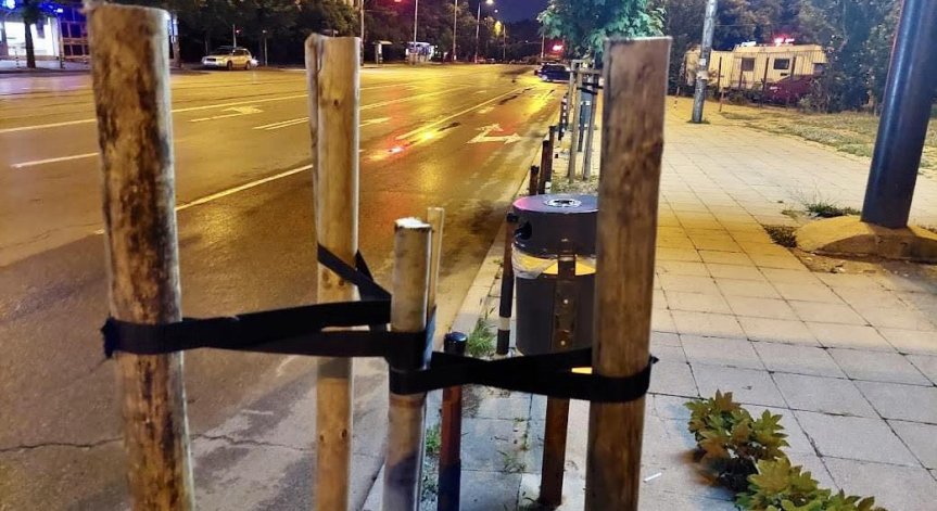 Председателят на СОС подаде сигнал до СДВР за отсичане на дървета в район 