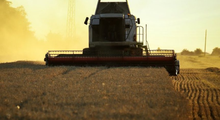 Украйна обмисля транспортирането на зърно през България и Румъния