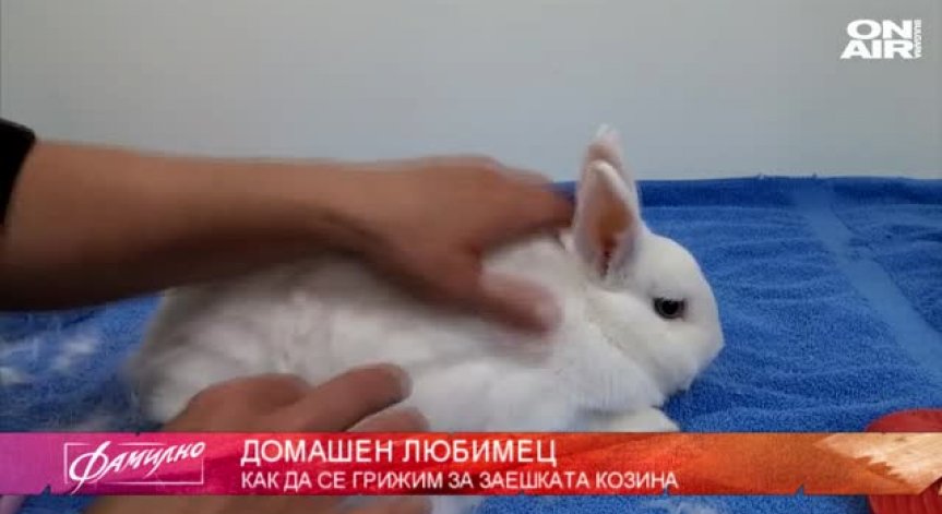 98% от хората имат изместен атлас