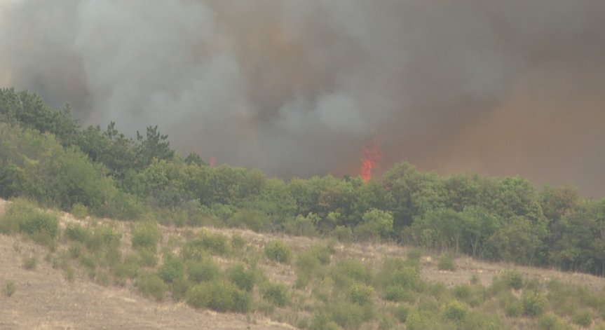 Мъж загина при горене на сухи треви и храсти край Кюстендил